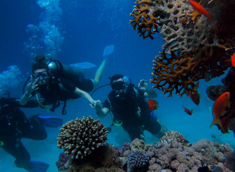 submarinismo soller eden hotels