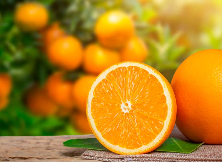 fira taronja soller eden hotels