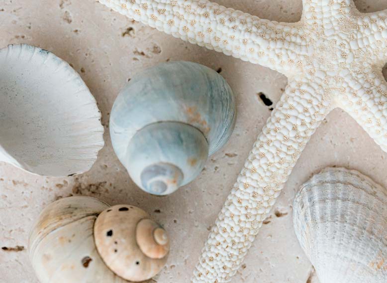 fira del mar soller mallorca eden hotels