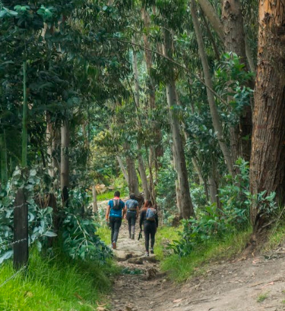 actividades senderismo eden hotels puerto de soller