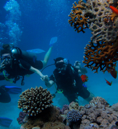 actividades submarisimo puerto de soller eden hotels