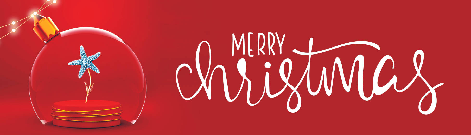 oferta vacaciones 2023 hotel eden 