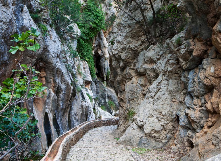 senderismo barranc de biniaraix soller eden hotels