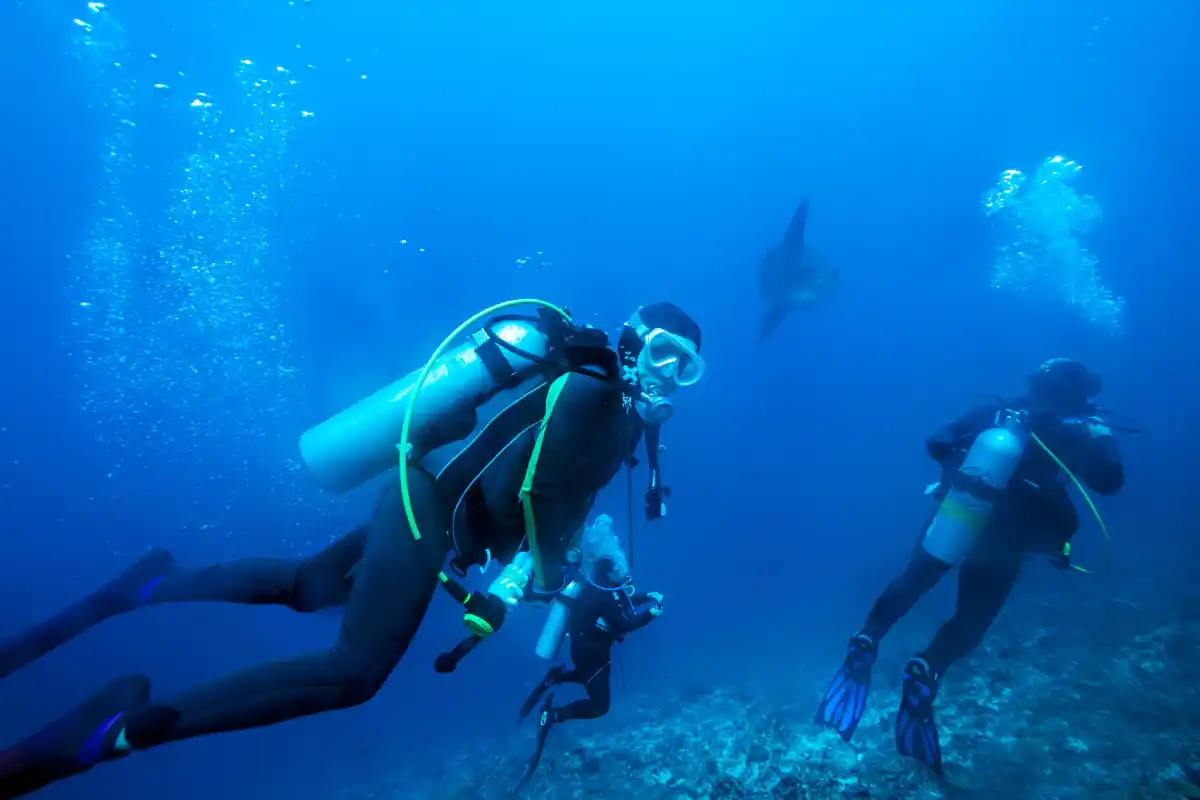 divers underwater
