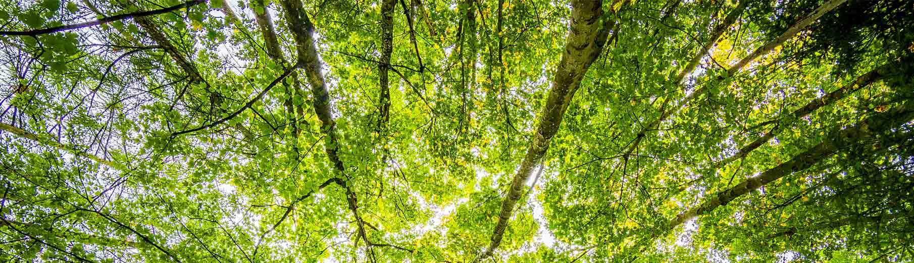 hiking mallorca eden hotels